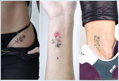 Las 10 mejores ideas e inspiración sobre tattoo en la pelvis mujer